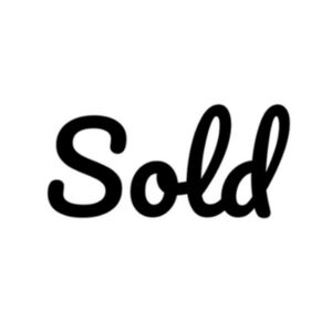 American Eagle Hooded Plaid Flannel Size Large